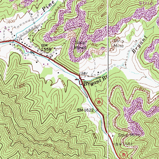 Topographic Map of Bryant Branch, WV