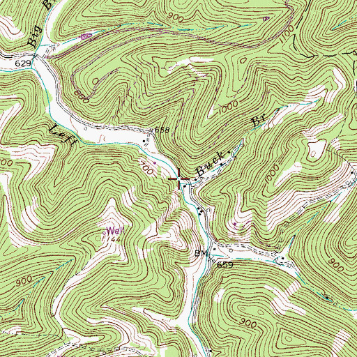 Topographic Map of Buck Branch, WV