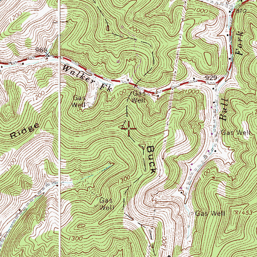 Topographic Map of Buck Ridge, WV
