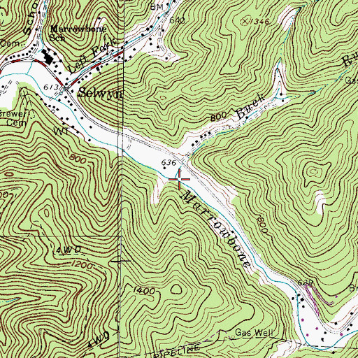 Topographic Map of Buck Run, WV