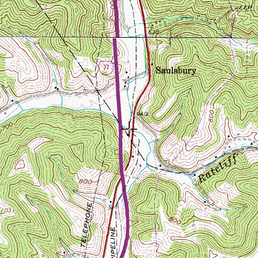Topographic Map of Buck Run, WV