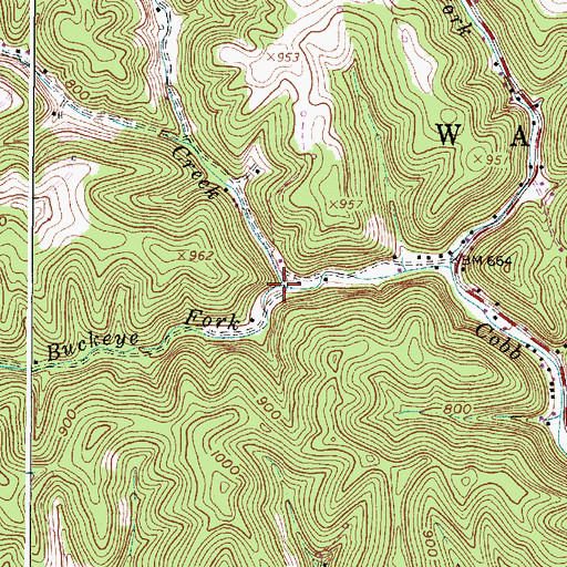 Topographic Map of Buckeye Fork, WV