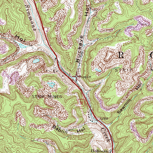 Topographic Map of Buckeye Hollow, WV