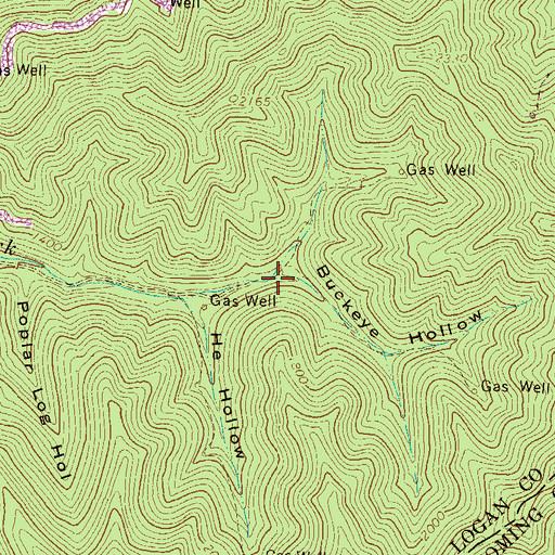 Topographic Map of Buckeye Hollow, WV