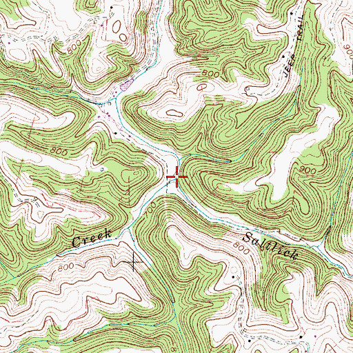 Topographic Map of Bucklick Creek, WV