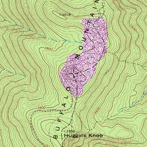 Topographic Map of Buffalo Mountain, WV