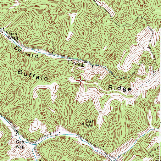 Topographic Map of Buffalo Ridge, WV