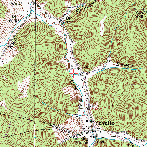 Topographic Map of Bukey Run, WV