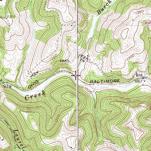 Topographic Map of Burch Run, WV