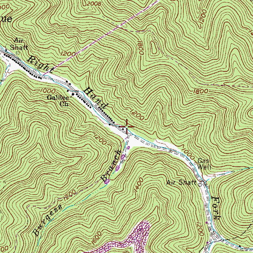 Topographic Map of Burgess Branch, WV