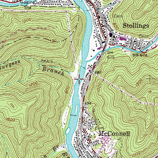 Topographic Map of Burgess Branch, WV