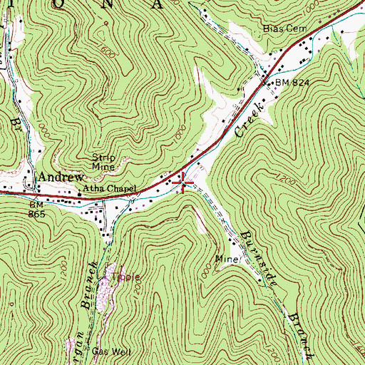Topographic Map of Burnside Branch, WV
