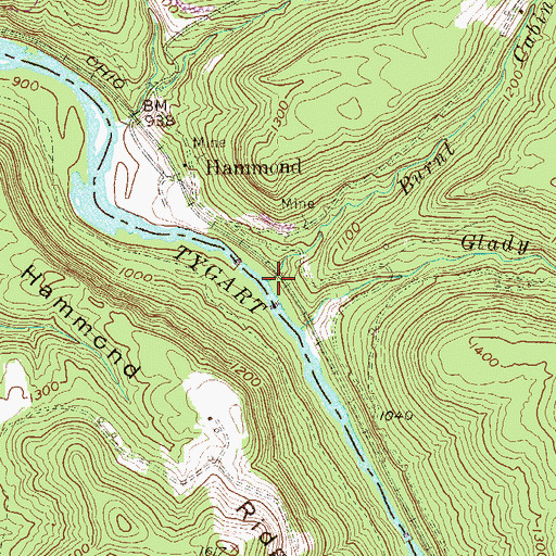 Topographic Map of Burnt Cabin Run, WV