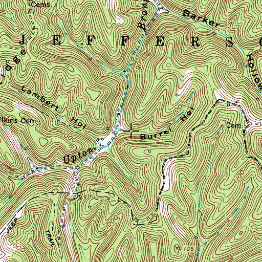 Topographic Map of Burrel Hollow, WV