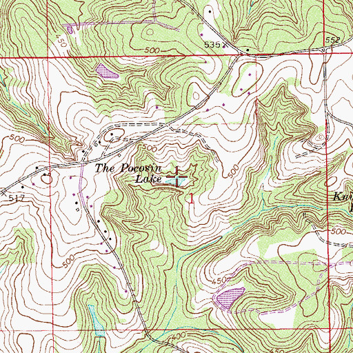 Topographic Map of The Pocosinlake, AL