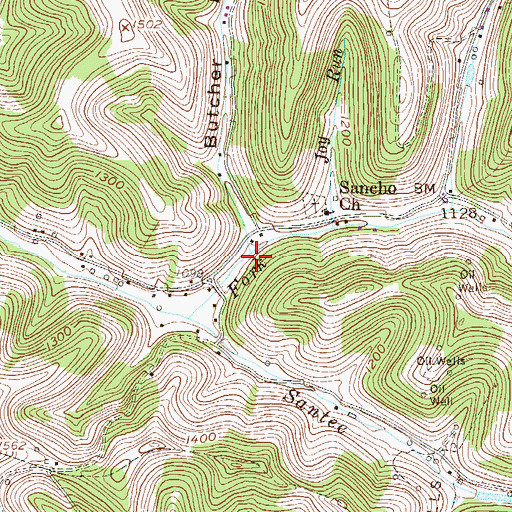 Topographic Map of Butcher Hollow, WV