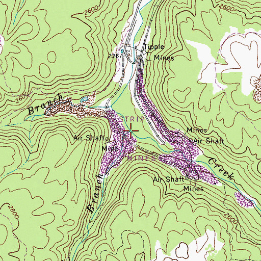 Topographic Map of Butler Branch, WV