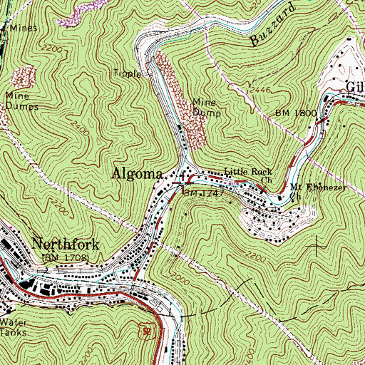 Topographic Map of Buzzard Branch, WV