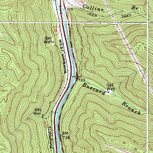 Topographic Map of Buzzard Branch, WV