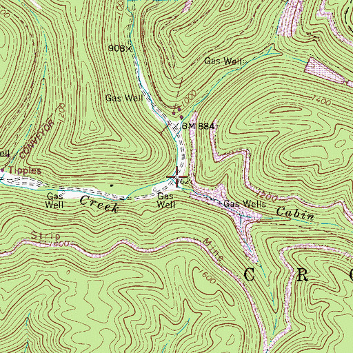 Topographic Map of Cabin Fork, WV