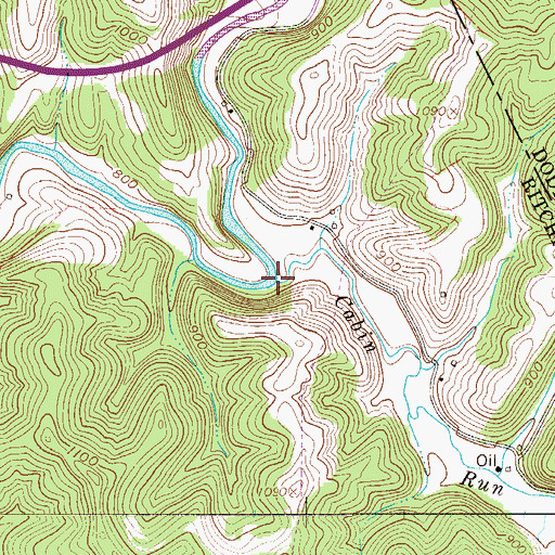 Topographic Map of Cabin Run, WV