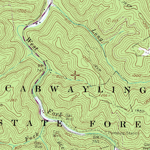 Topographic Map of Cabwaylingo State Forest, WV