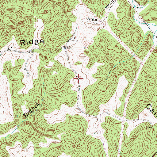 Topographic Map of Cain Ridge, WV