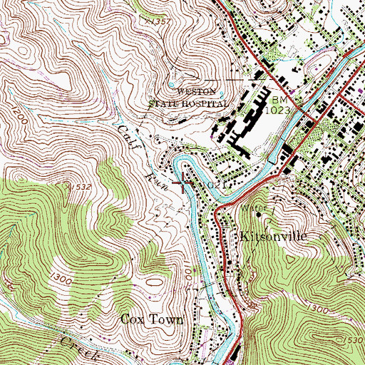Topographic Map of Calf Run, WV