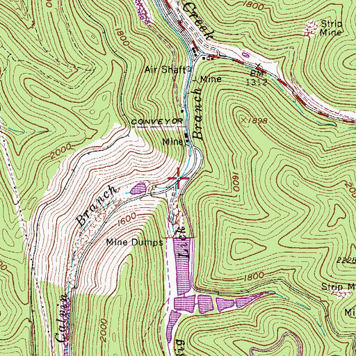 Topographic Map of Calvin Branch, WV