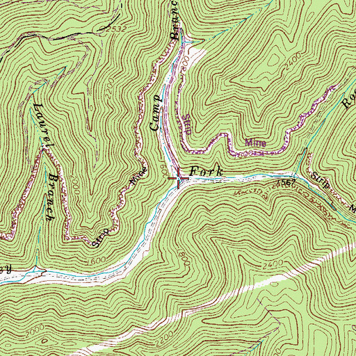 Topographic Map of Camp Branch, WV