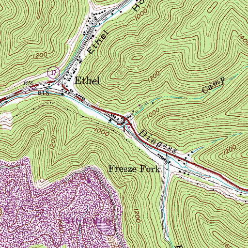 Topographic Map of Camp Branch, WV