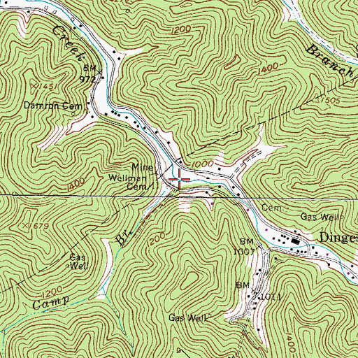 Topographic Map of Camp Branch, WV