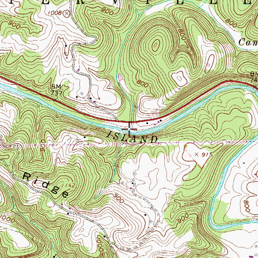 Topographic Map of Camp Mistake Run, WV