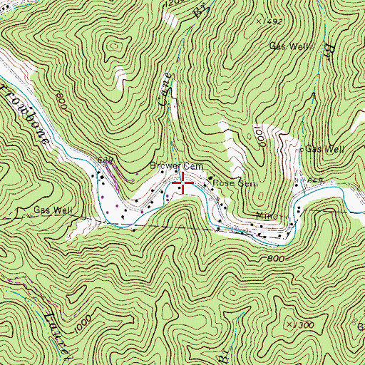 Topographic Map of Cane Branch, WV
