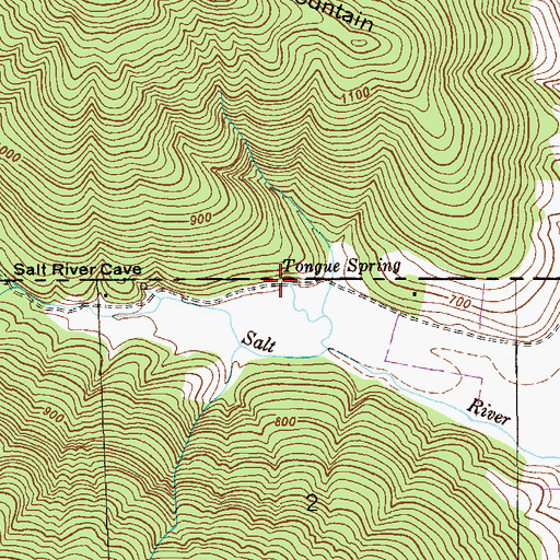 Topographic Map of Tongue Spring, AL