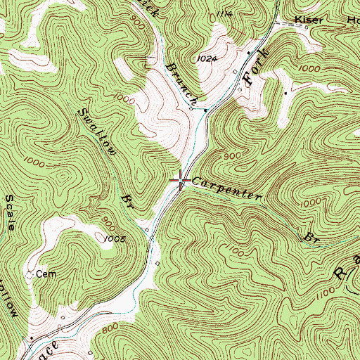 Topographic Map of Carpenter Branch, WV