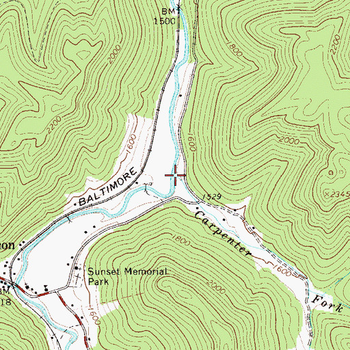 Topographic Map of Carpenter Fork, WV