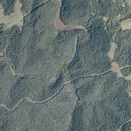 Aerial/Satellite Image of Carpenter Fork, WV