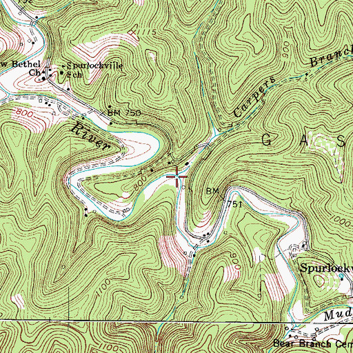 Topographic Map of Carpers Branch, WV