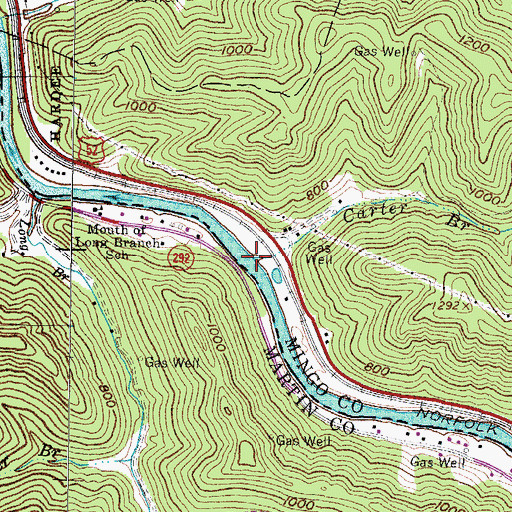 Topographic Map of Carter Branch, WV