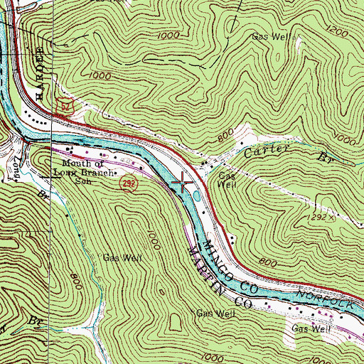 Topographic Map of Carter Branch, WV