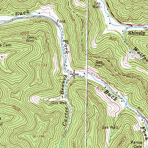 Topographic Map of Carter Branch, WV