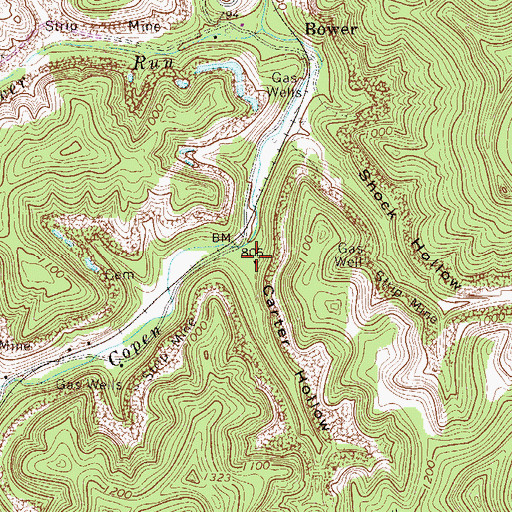 Topographic Map of Carter Hollow, WV