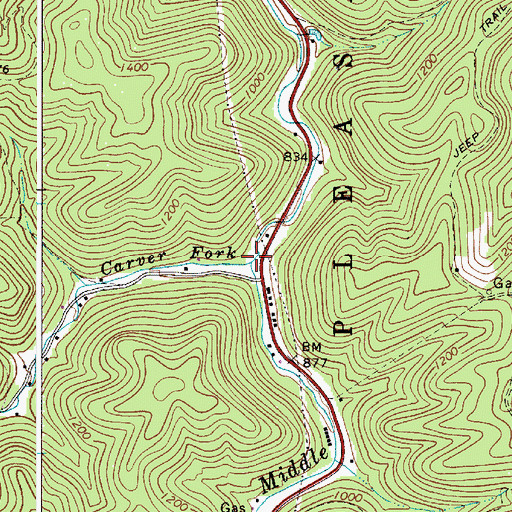 Topographic Map of Carver Fork, WV