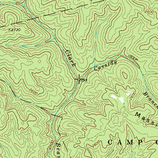 Topographic Map of Cassidy Branch, WV