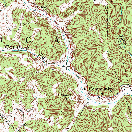 Topographic Map of Cavelick Run, WV
