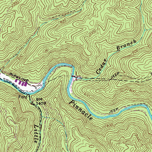 Topographic Map of Cedar Branch, WV