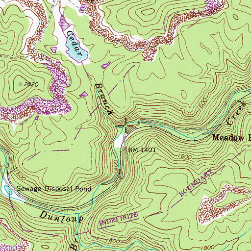 Topographic Map of Cedar Branch, WV