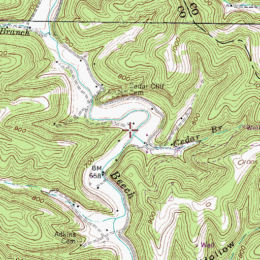 Topographic Map of Cedar Branch, WV