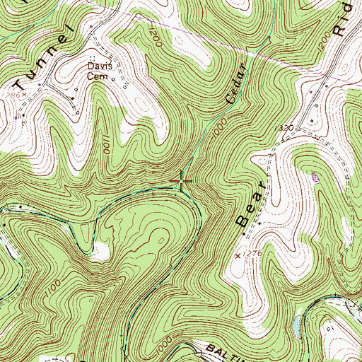 Topographic Map of Cedar Run, WV